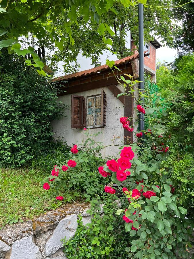 Ferienwohnung Queen Visoko Exterior foto