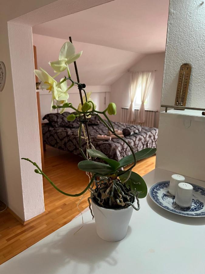 Ferienwohnung Queen Visoko Exterior foto